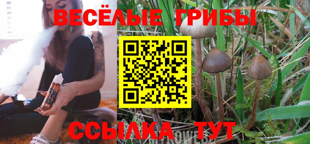 Псилоцибиновые грибы прущие грибы  Вход с VPN  Лянтор 